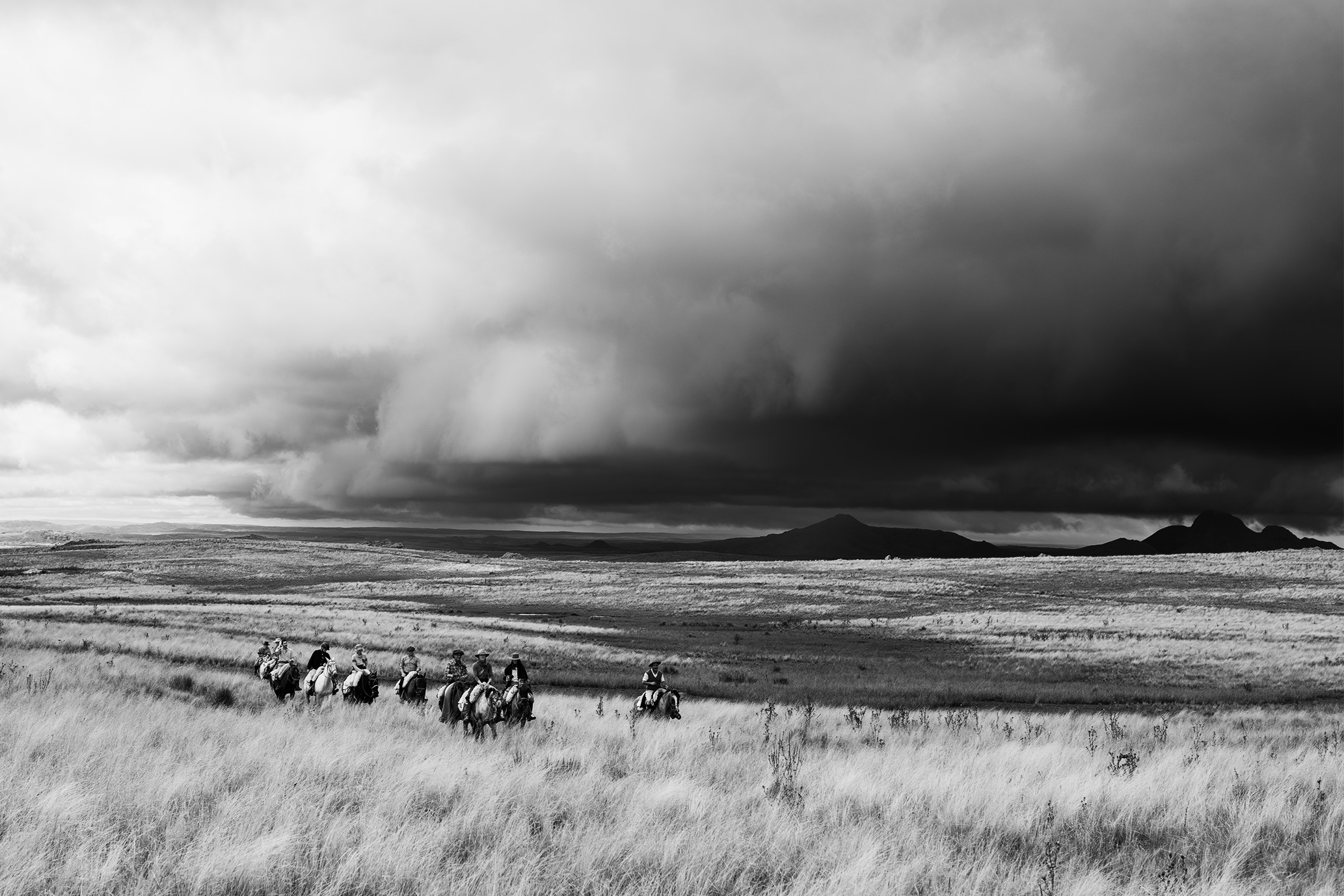 gaucho argentinia