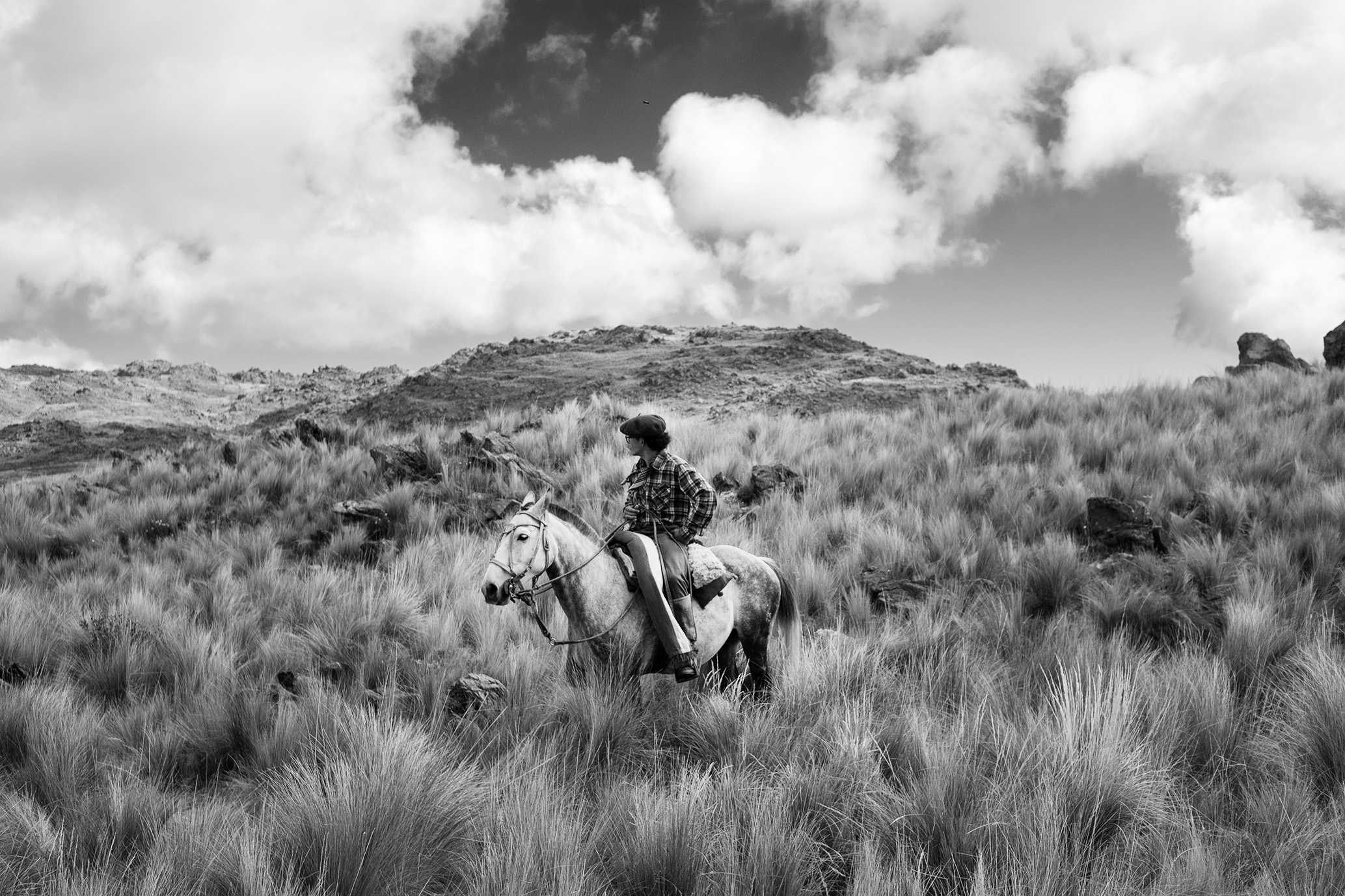 gaucho argentinia