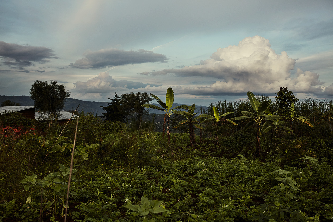 Ruanda